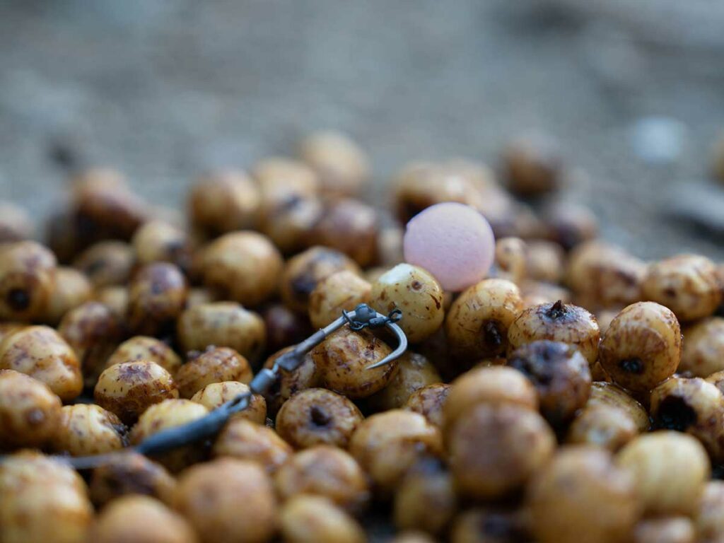 assiette-tiger-nuts-miam